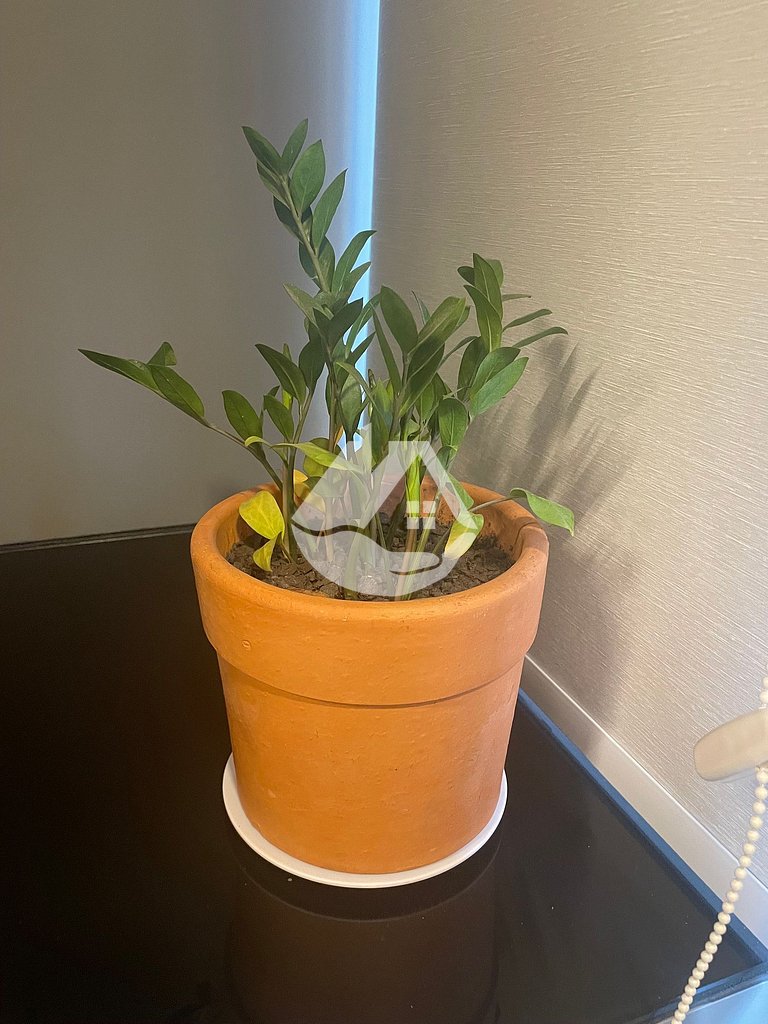 Prime Stay - AC - Piscina - Vila Buarque